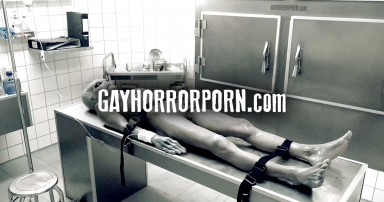 GAYHORRORporn.com